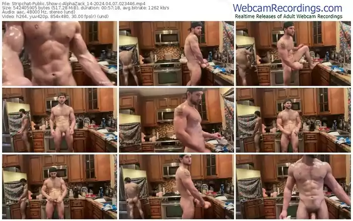 stripchat-alphazack_14-04-07-2024-02-34-46