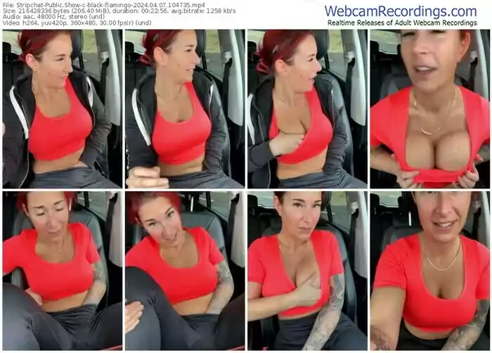 stripchat-black-flamingo-04-07-2024-10-47-35