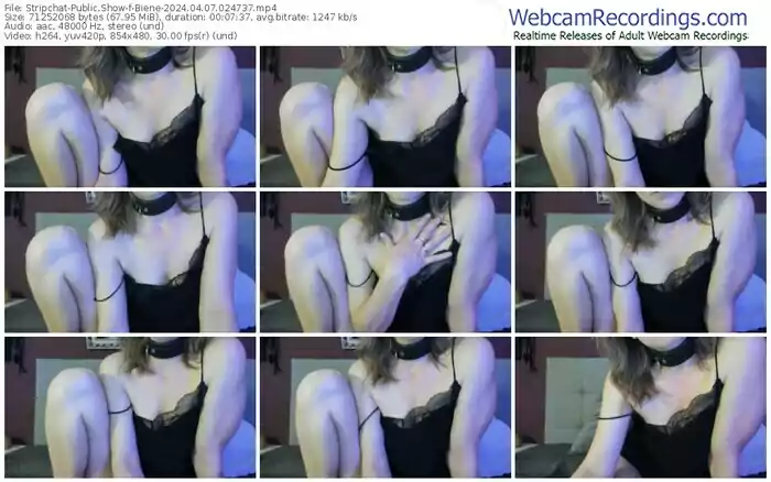 stripchat-biene-04-07-2024-02-47-37