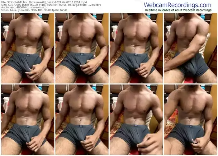 stripchat-wild_beast-04-07-2024-11-22-04