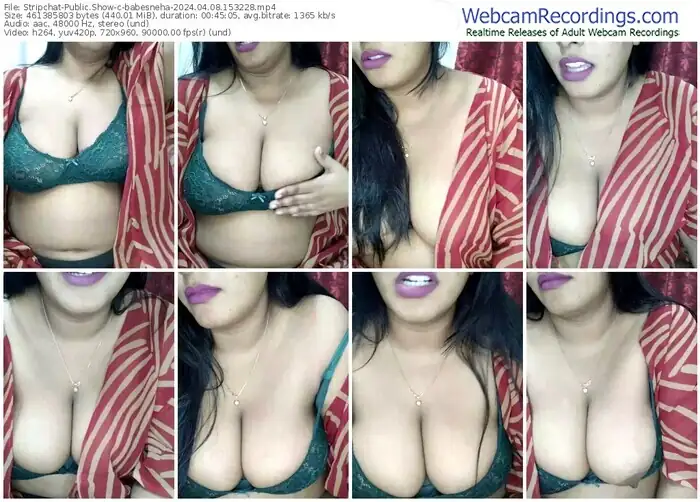 stripchat-babesneha-04-08-2024-15-32-28