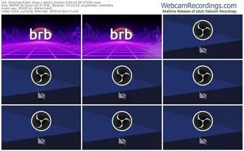 stripchat-daisha_becker-04-08-2024-07-53-52