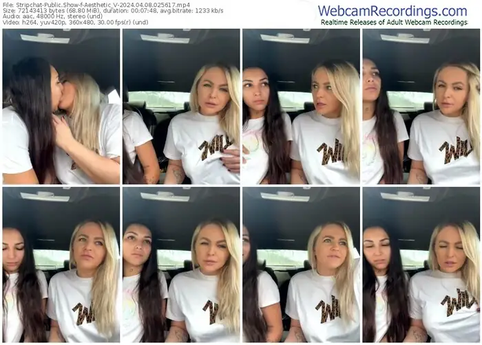 stripchat-aesthetic_v-04-08-2024-02-56-17