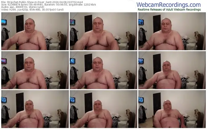 stripchat-diver_gent-04-08-2024-22-27-02