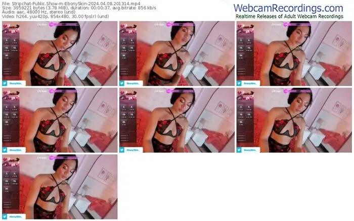 stripchat-ebonyskin-04-08-2024-20-13-14