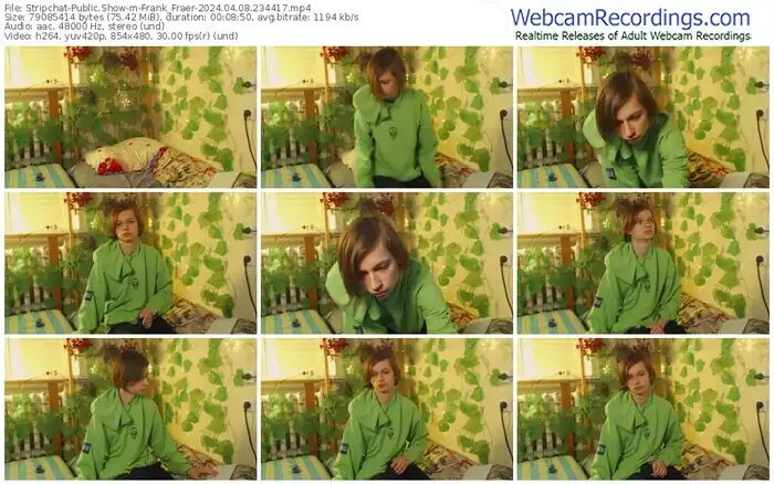 stripchat-frank_fraer-04-08-2024-23-44-17