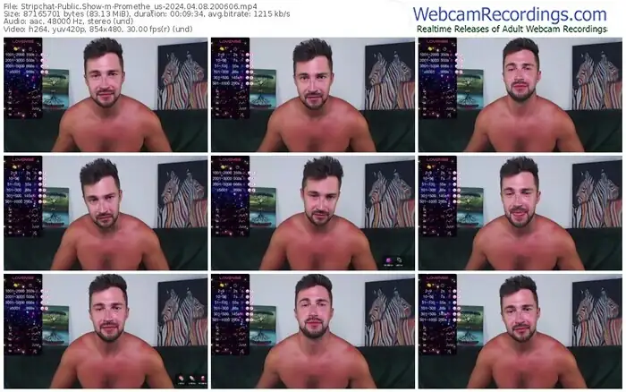 stripchat-promethe_us-04-08-2024-20-06-06