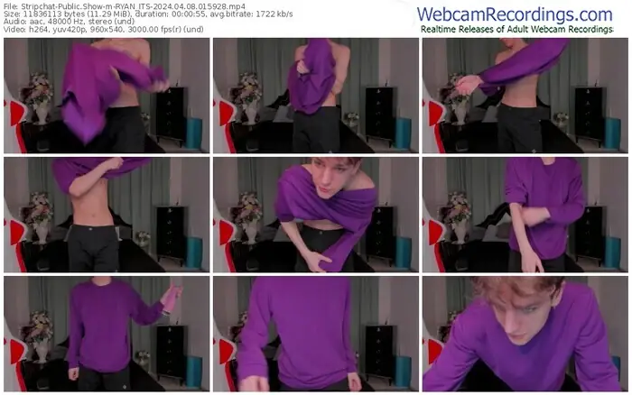 stripchat-ryan_its-04-08-2024-01-59-28