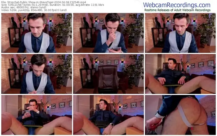 stripchat-stevetiger-04-08-2024-15-25-46