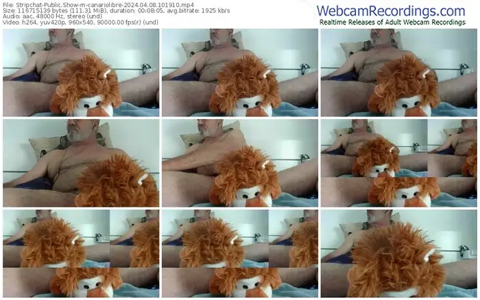 stripchat-canariolibre-04-08-2024-10-19-10