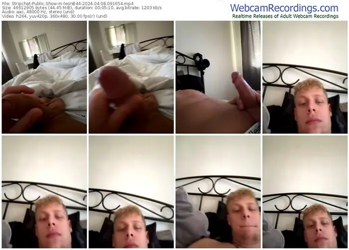 stripchat-leonb44-04-08-2024-09-16-54