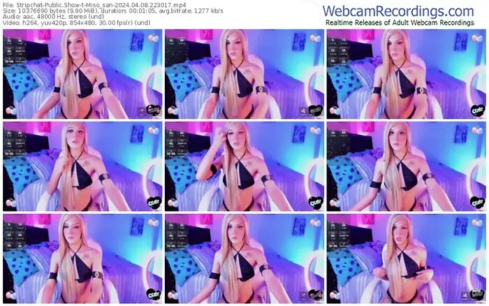 stripchat-miso_san-04-08-2024-22-30-17