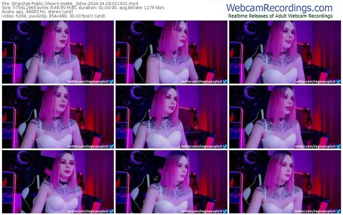 stripchat-snake__bites-04-08-2024-01-16-01