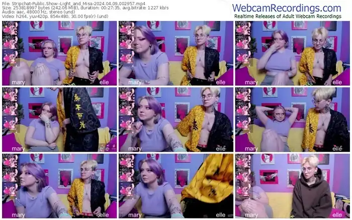 stripchat--light_and_misa-04-09-2024-00-29-57