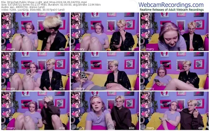 stripchat--light_and_misa-04-09-2024-04-25-51