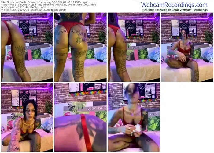 stripchat-shelsysexy88-04-09-2024-11-45-29