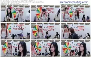 stripchat-ydhymsv1-04-09-2024-16-03-53