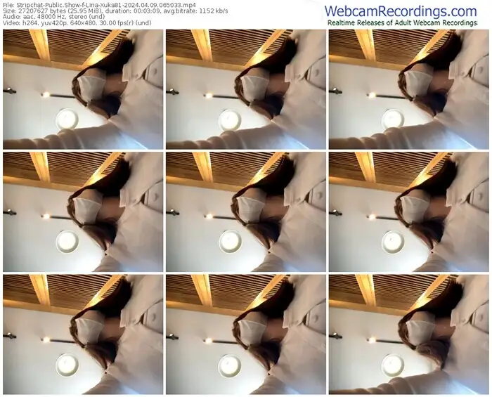 stripchat-lina-xuka81-04-09-2024-06-50-33