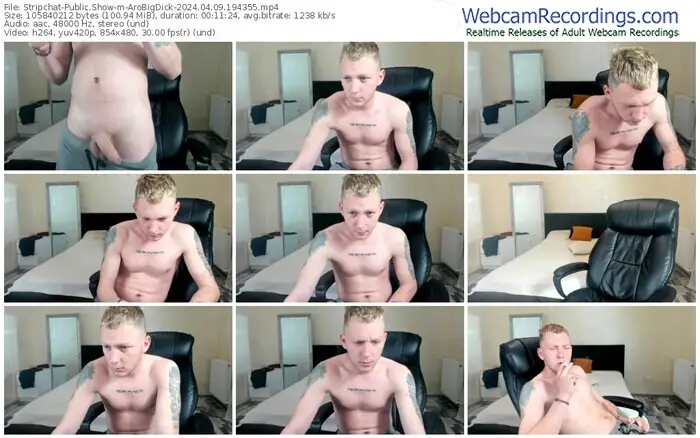 stripchat-arobigdick-04-09-2024-19-43-55