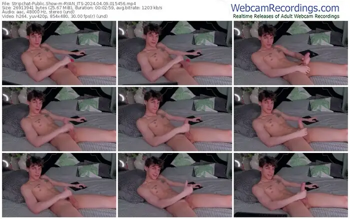 stripchat-ryan_its-04-09-2024-01-54-56