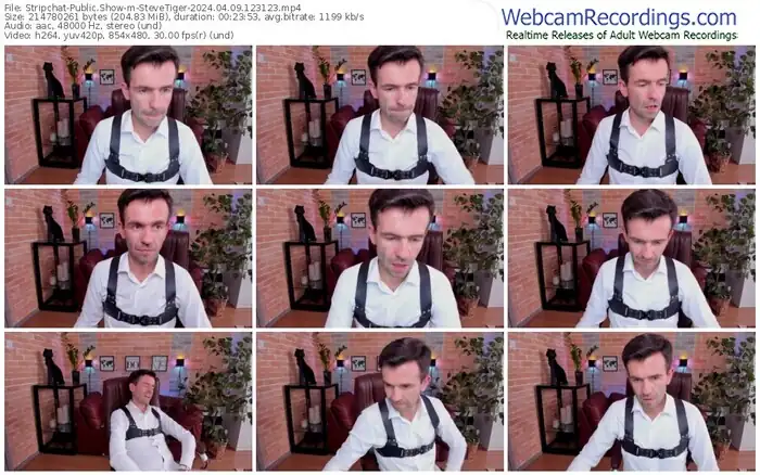 stripchat-stevetiger-04-09-2024-12-31-23
