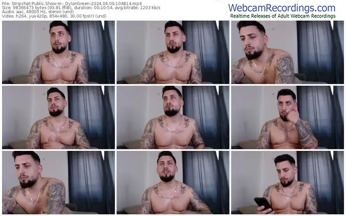 stripchat-_dylangreen-04-09-2024-10-48-14