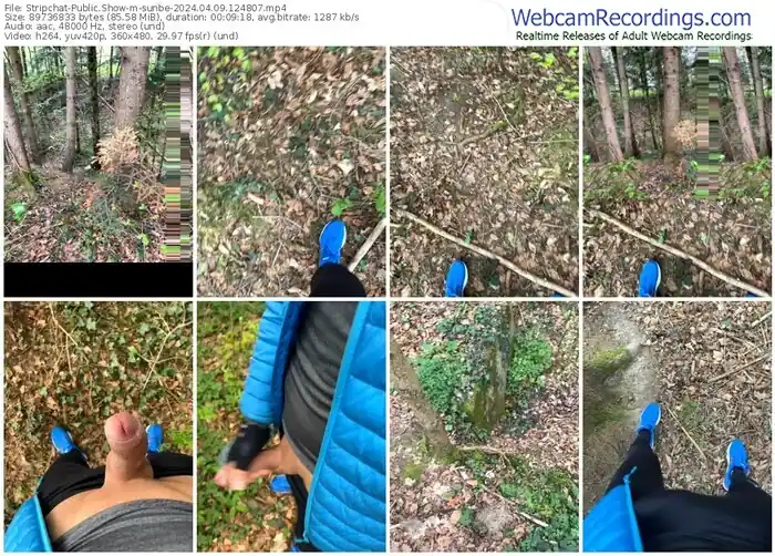 stripchat-sunbe-04-09-2024-12-48-07