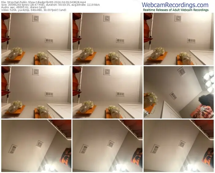 stripchat-badgirlbrittt-04-09-2024-04-38-28