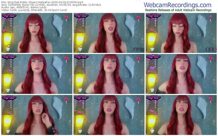 stripchat-nahiafox-04-09-2024-01-00-59