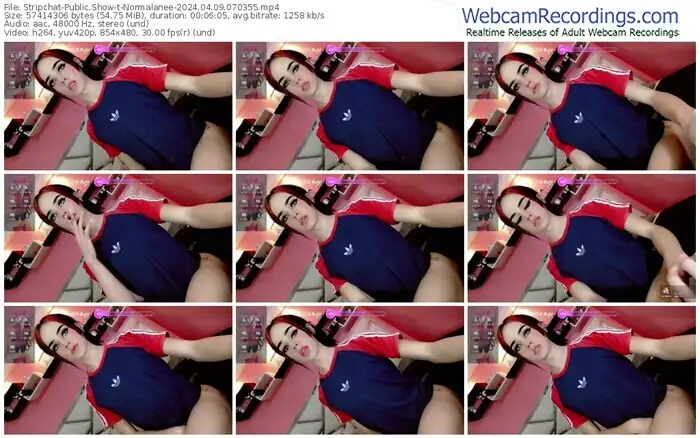 stripchat-normalanee-04-09-2024-07-03-55