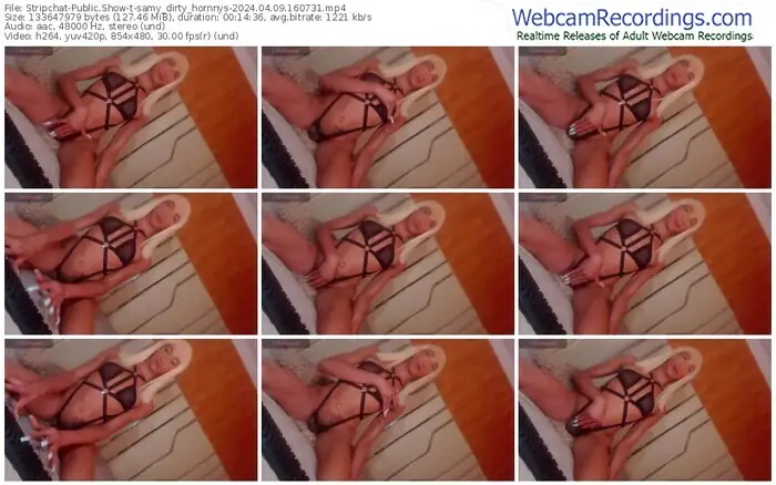 stripchat-samy_dirty_hornnys-04-09-2024-16-07-31