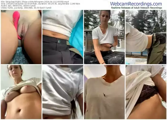 stripchat-kittywhispers-04-10-2024-19-33-59