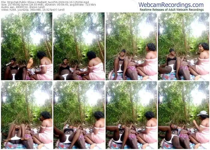 stripchat-rediant_two256-04-10-2024-12-52-04