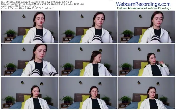 stripchat-cassette_tape-04-10-2024-11-29-57