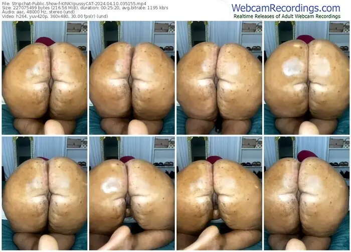 stripchat-kinkypussycat-04-10-2024-03-51-55