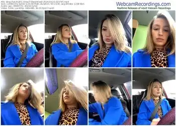 stripchat-stasywood-04-10-2024-02-37-45