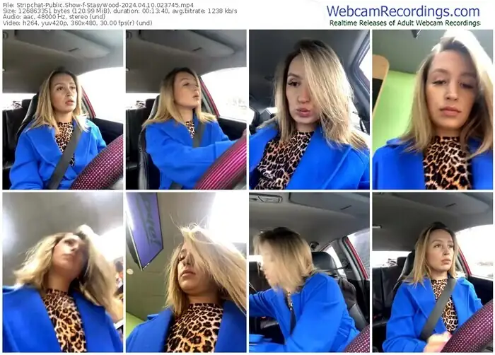 stripchat-stasywood-04-10-2024-02-37-45