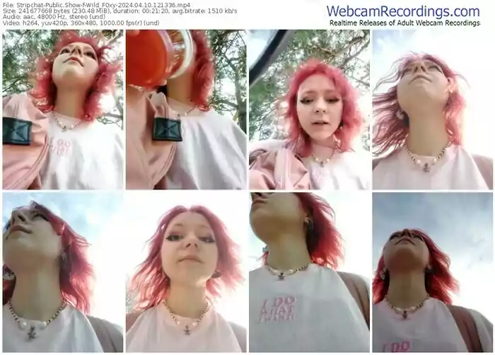 stripchat-wild_f0xy-04-10-2024-12-13-36