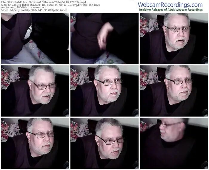 stripchat-100tauros-04-10-2024-17-28-34