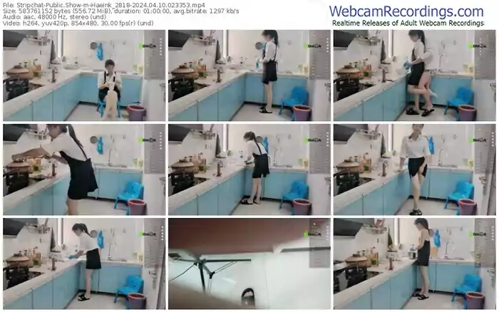 stripchat-haeink_2818-04-10-2024-02-33-53