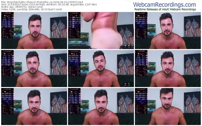 stripchat-promethe_us-04-10-2024-12-09-07