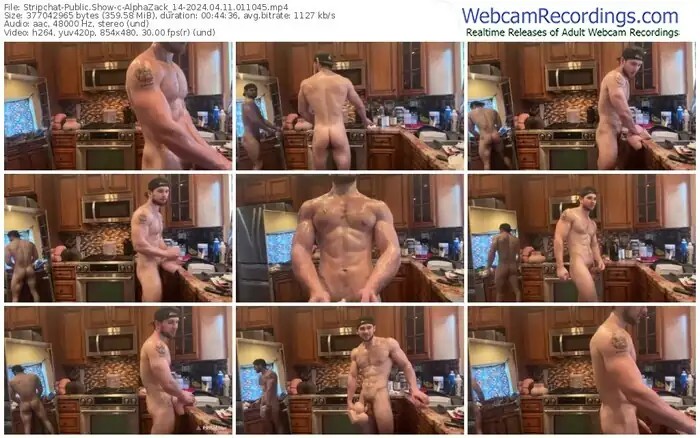 stripchat-alphazack_14-04-11-2024-01-10-45