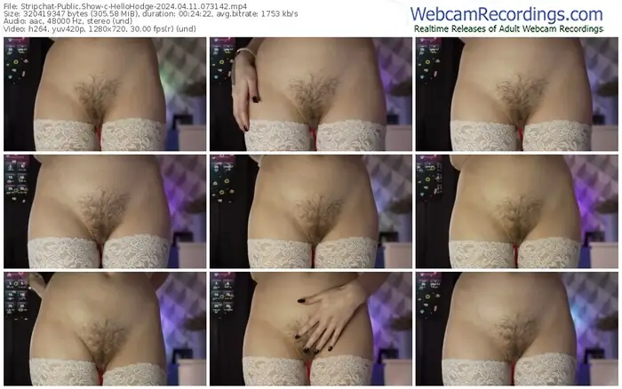 stripchat-hellohodge-04-11-2024-07-31-42