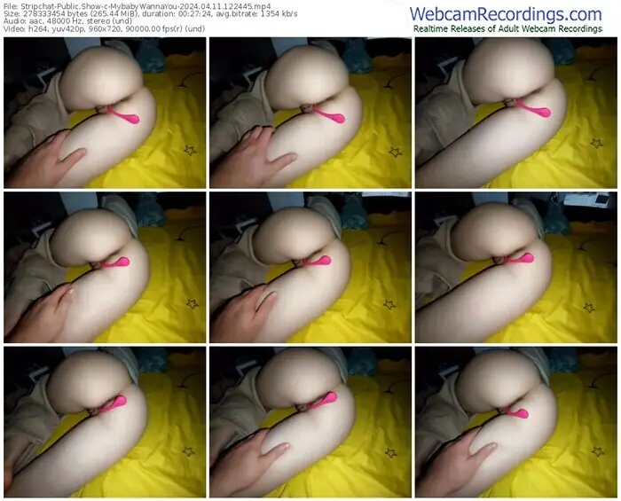 stripchat-mybabywannayou-04-11-2024-12-24-45