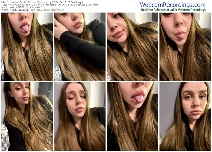 stripchat-seoomarry-04-11-2024-21-54-49