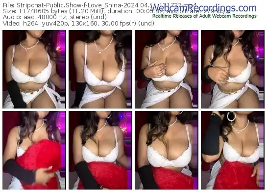 stripchat-love_shina-04-11-2024-12-17-37