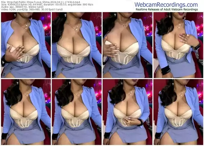 stripchat-love_shina-04-11-2024-17-43-14