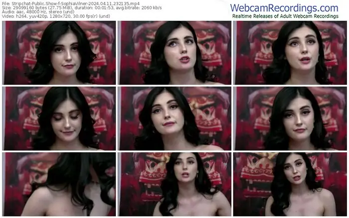 stripchat-sophiavilner-04-11-2024-23-21-35