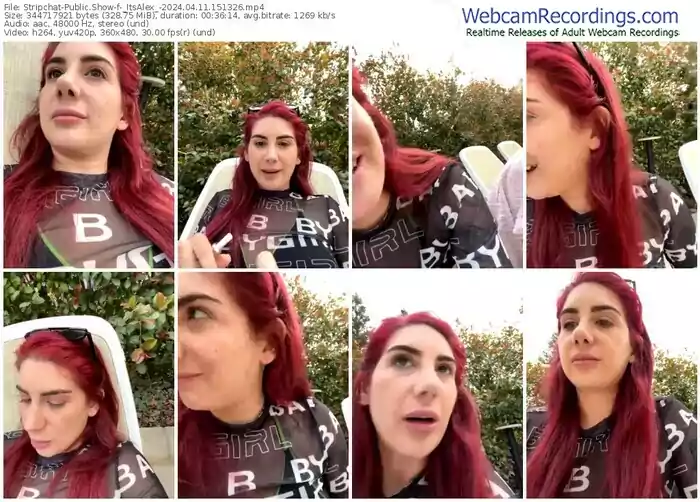 stripchat-_itsalex_-04-11-2024-15-13-26