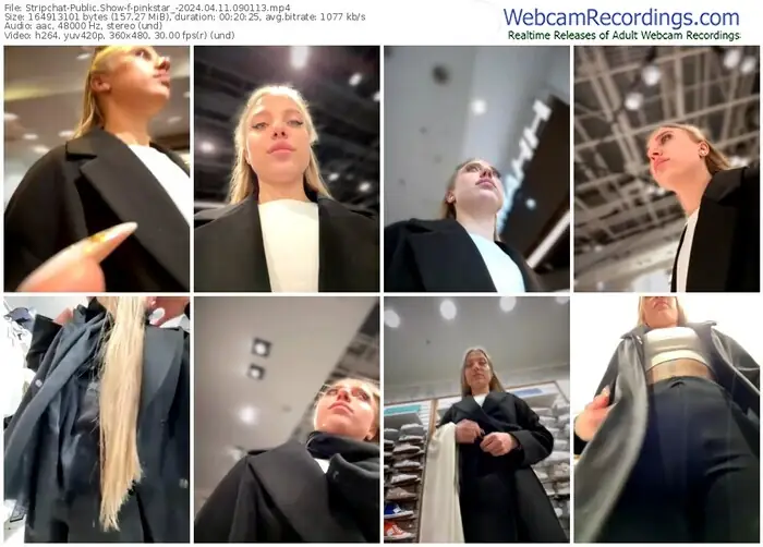 stripchat-pinkstar_-04-11-2024-09-01-13